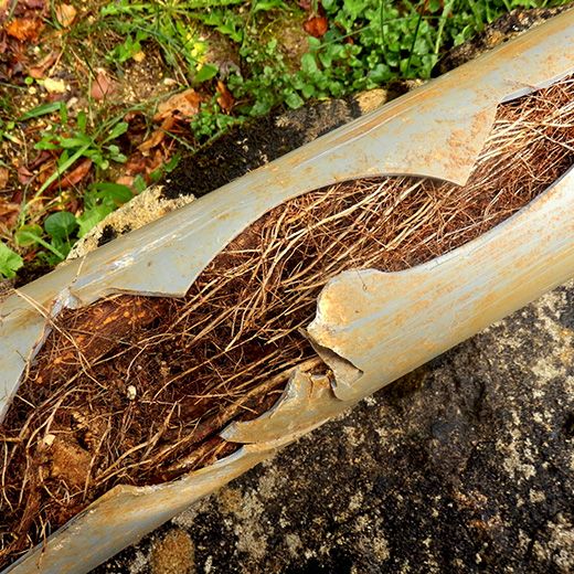 The Drain & Sewer Professionals In Sullivan Beach